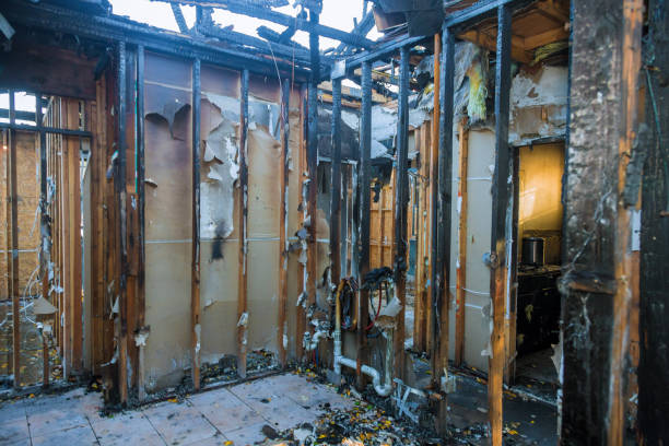 Professional Odor Removal technician working in Stockton, NJ