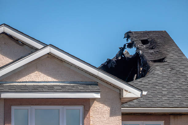 Top rated local Odor Removal specialists in Stockton, NJ